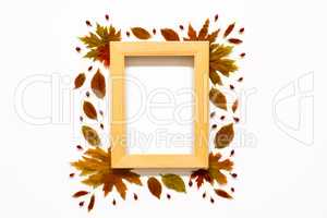 Wooden Frame With Colorful And Bright Autumn Leaf Decoration, Copy Space