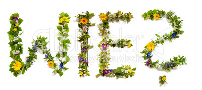 Flower And Blossom Letter Building Word Wie Means Why