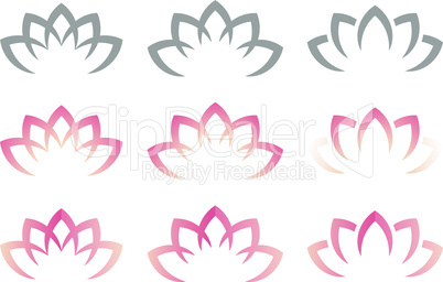 Lotus or water lily blossom