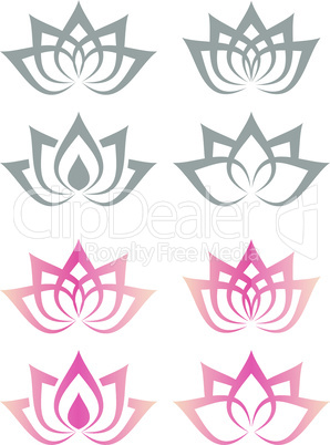 Lotus or water lily blossom
