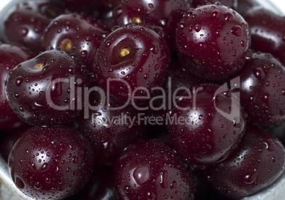 Fresh ripe cherries with water drops, as background.