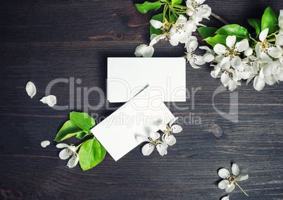 Blank business cards