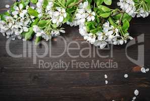 Wood background, spring flowers