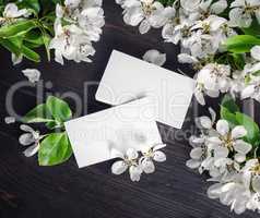 Blank business cards and flowers