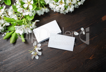 Photo of blank business cards