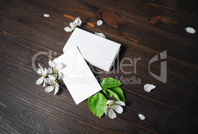 Blank business cards