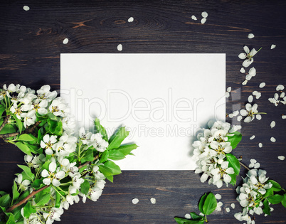 Paper background, spring flowers