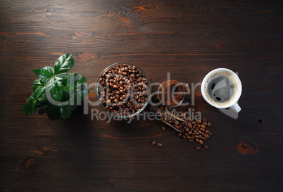 Brewing coffee background