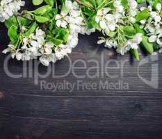 Wooden background with flowers