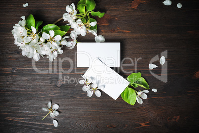 Photo of business cards and flowers