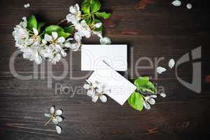 Photo of business cards and flowers