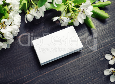 Business cards, spring flowers