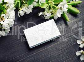 Business cards, spring flowers