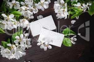 Blank business cards, flowers