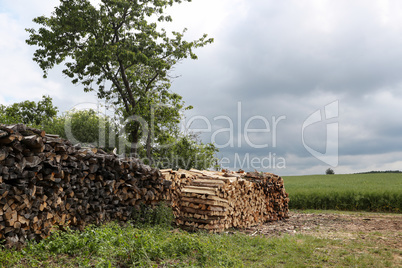 Dry chopped firewood stacked in a woodpile