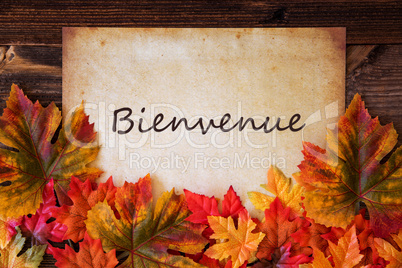 Grungy Old Paper, Colorful Leaves, Bienvenue Means Welcome