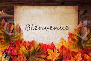 Grungy Old Paper, Colorful Leaves, Bienvenue Means Welcome