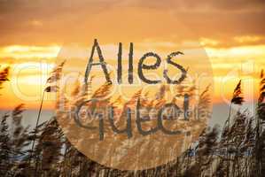 Beach Grass At Sunrise Or Sunset, Text Alles Gute Means Best Wishes