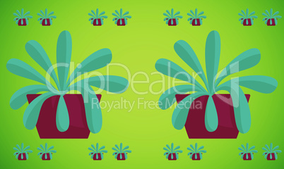 beautiful identical plants in a pot on abstract background