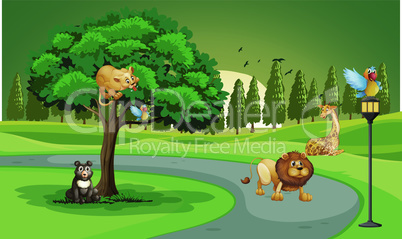 Cartoon collection animal in the jungle