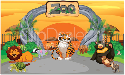 animals in the zoo are playing and enjoying together