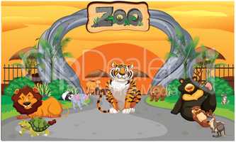 animals in the zoo are playing and enjoying together