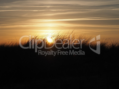 Sunset over a dune with dune grass