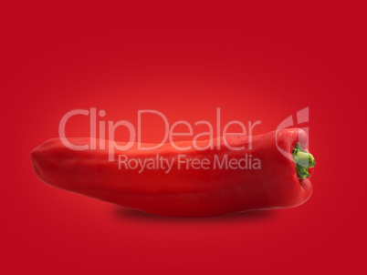An organic pointed pepper on a red background