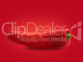An organic pointed pepper on a red background