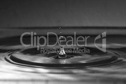 A small water drop fall on water surface