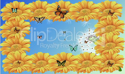 butterfly are sitting on flower for nectar on sky background frame