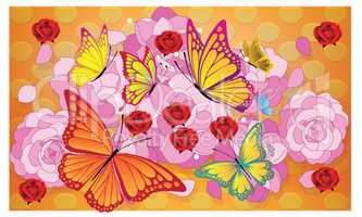 butterflies are flying on Rose flower