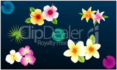 different types of flower collection on abstract background