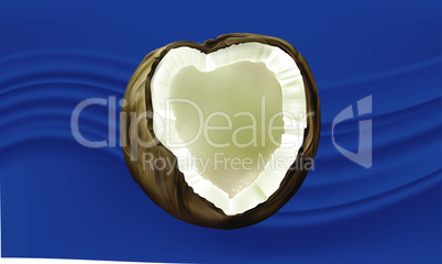 mock up illustration of coconut on abstract background