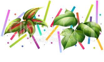 different types of leaves on colorful art background