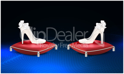 mock up illustration of luxury female footwear on cushion surface