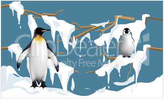 penguins are on tree stems in snow and enjoying
