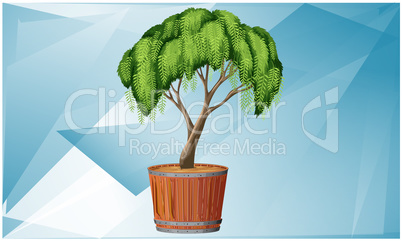small tree in a pot on diamond texture background