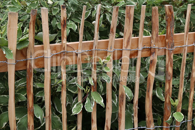 Wooden fence made of planed twisted wire branches