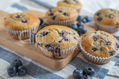Blaubeer Muffins