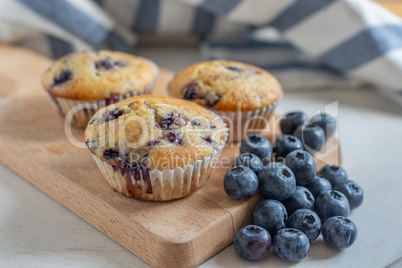 Blaubeer Muffins