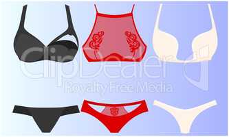 mock up illustration of female lingerie set on abstract background