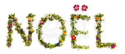 Flower And Blossom Letter Building Word Noel Means Christmas