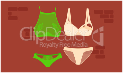 mock up illustration of female lingerie set on abstract background