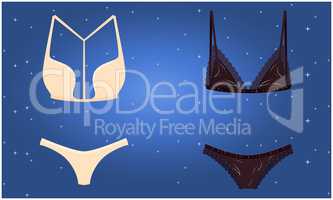 mock up illustration of female lingerie set on abstract background