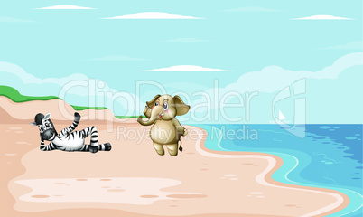 zebra and elephant are playing on beach