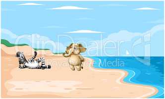 zebra and elephant are playing on beach