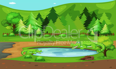 crocodile are living in a forest pond