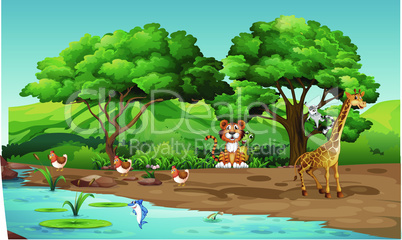 animals are playing on the river bank in the forest