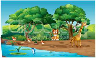 animals are playing on the river bank in the forest